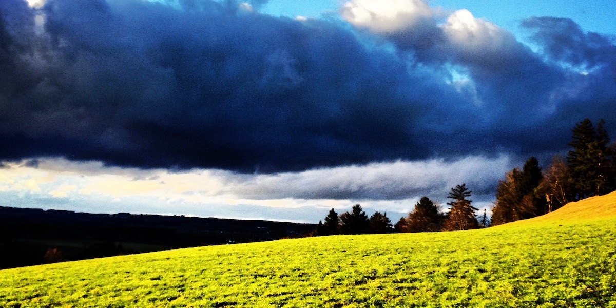Shiny green field. Dark trees and hills on the horizon. Strong clouds in the blue sky.